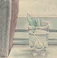 Blivande porslinsblomma, akvarell 19x19