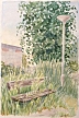 Ensam bänk, Östberga, akvarellskiss 12x18cm